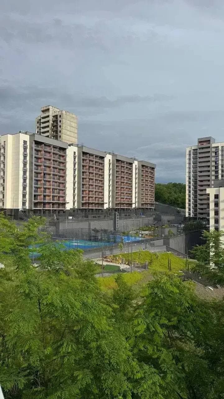 Комплекс со стороны зелёной зоны